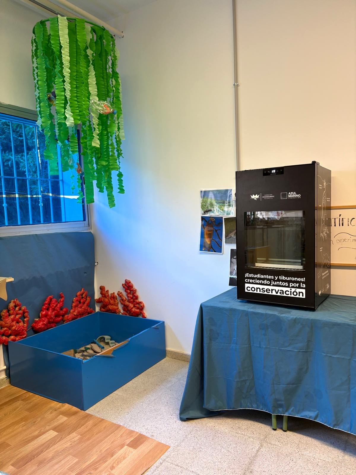 Proyecto de cría de huevos de tiburón pintarroja, Fundación Azul Marino — imagen 5