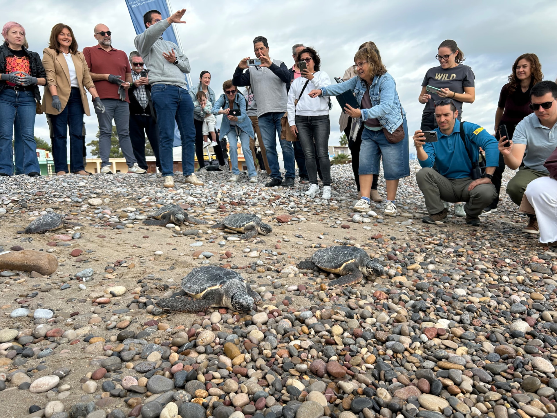 Suelta de tortugas bobas de la Fundación Azul Marino en Nules y Peñíscola — imagen 10