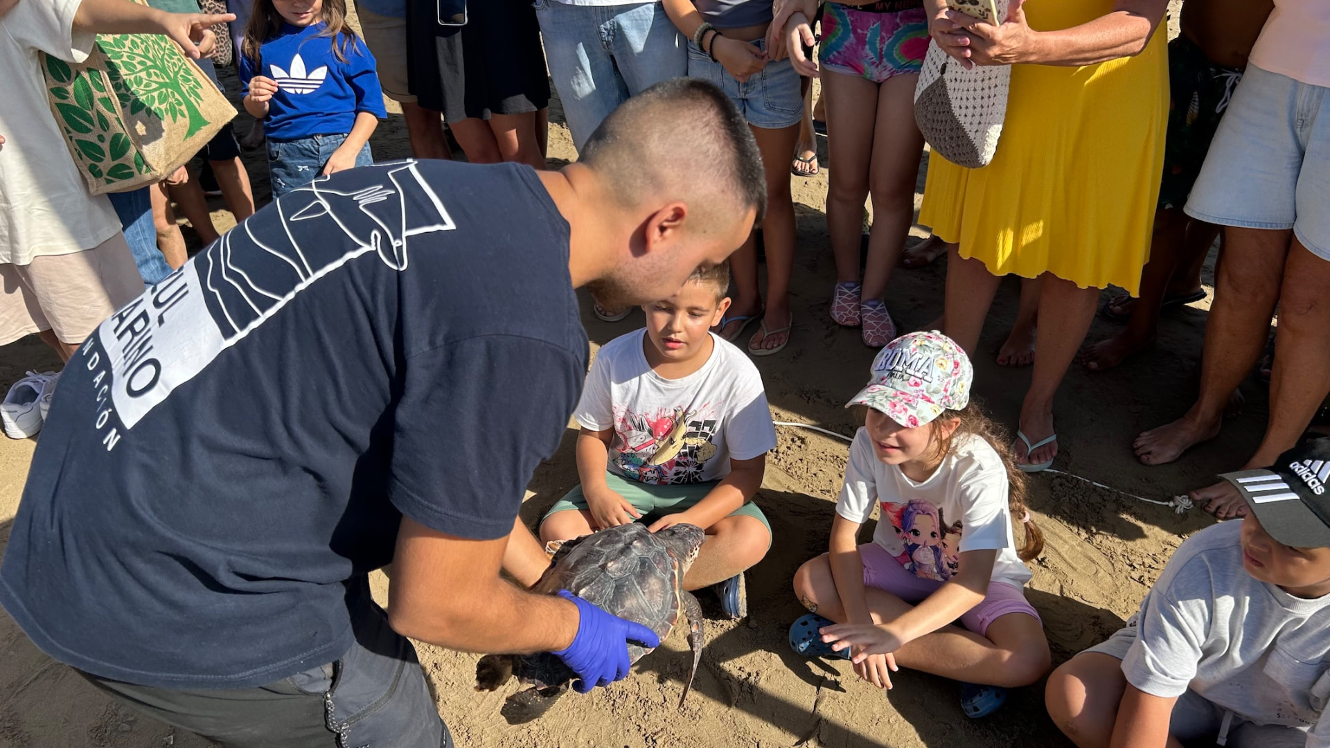 Un biólogo de la Fundación Azul Marino muestra una tortuga boba a los escolares sentados en la arena de la playa del Cargador