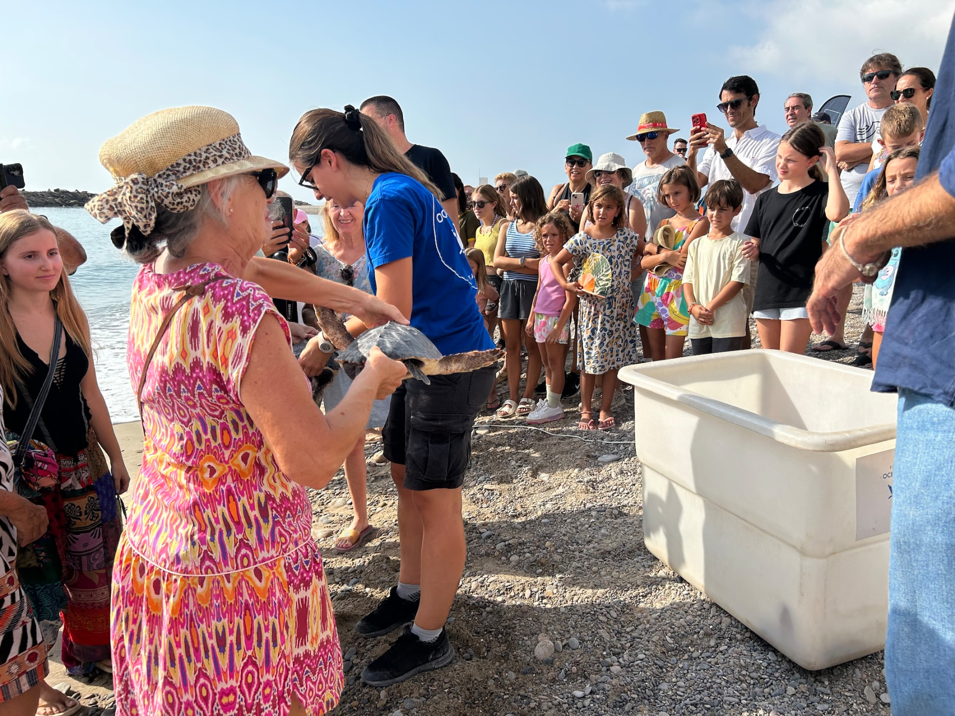 Una técnica del Oceanogràfic entrega una tortuga boba a una asistente junto a los tanques de transporte