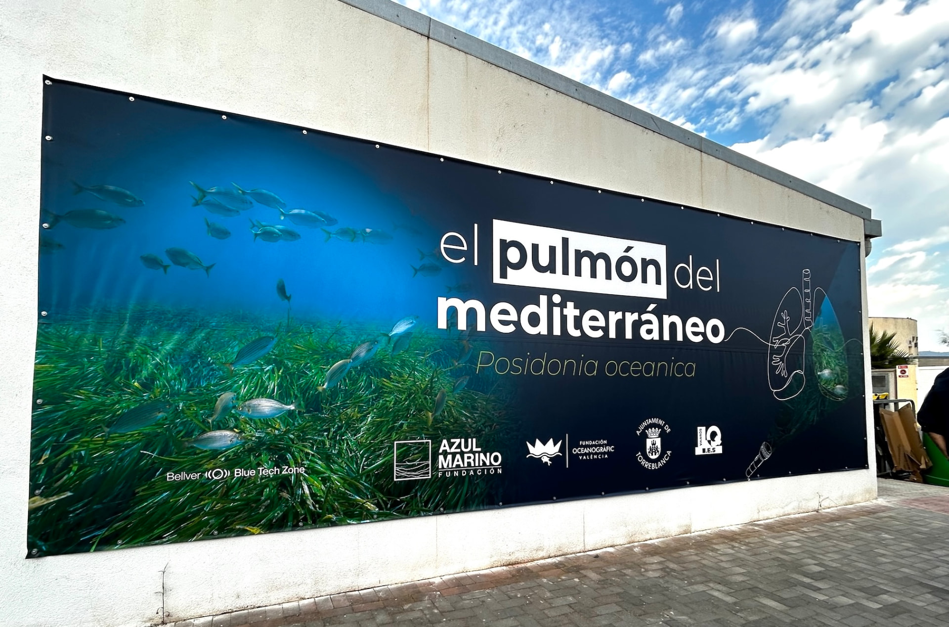 Lona de gran formato de la campaña “El Pulmón del Mediterráneo” sobre la Posidonia oceanica