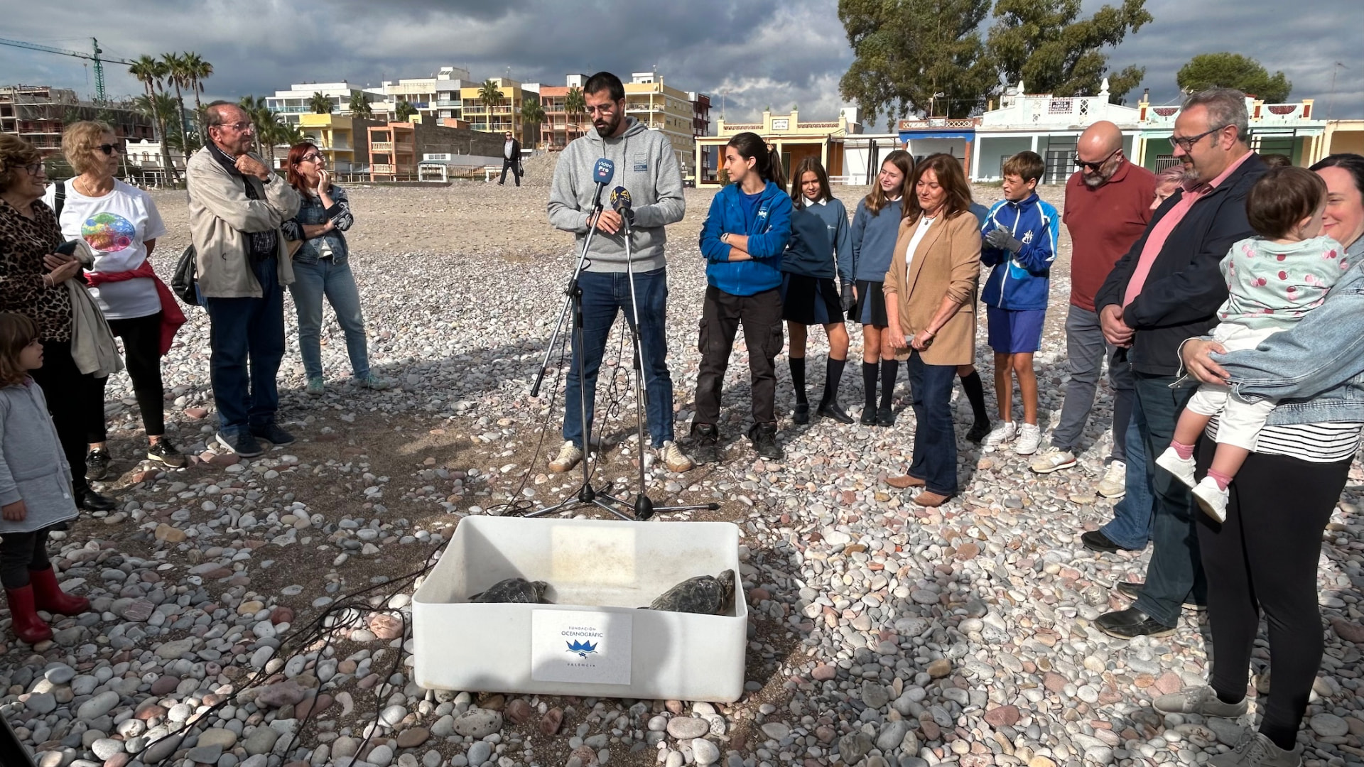 Suelta de tortugas bobas de la Fundación Azul Marino en Nules y Peñíscola — imagen 2
