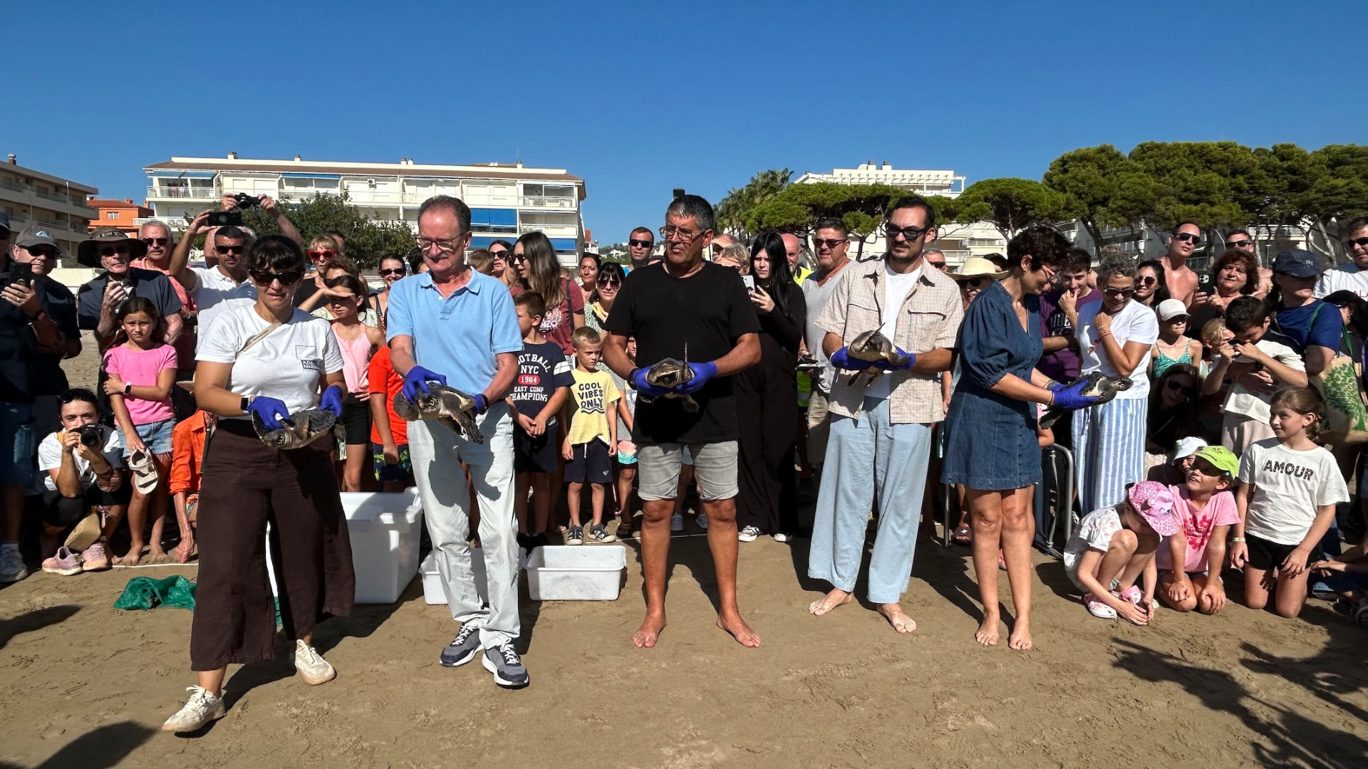 Suelta de tortugas bobas de la Fundación Azul Marino en la playa del Cargador de Alcossebre — imagen 7