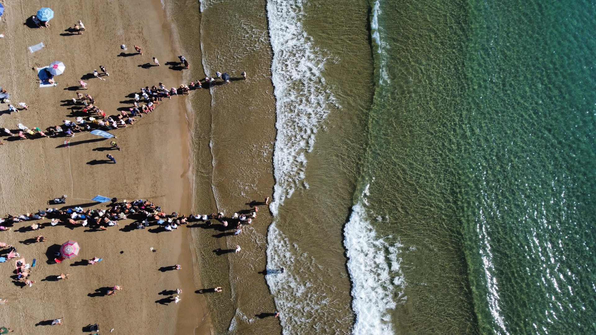 Suelta de tortugas bobas de la Fundación Azul Marino en la playa del Cargador de Alcossebre — imagen 11