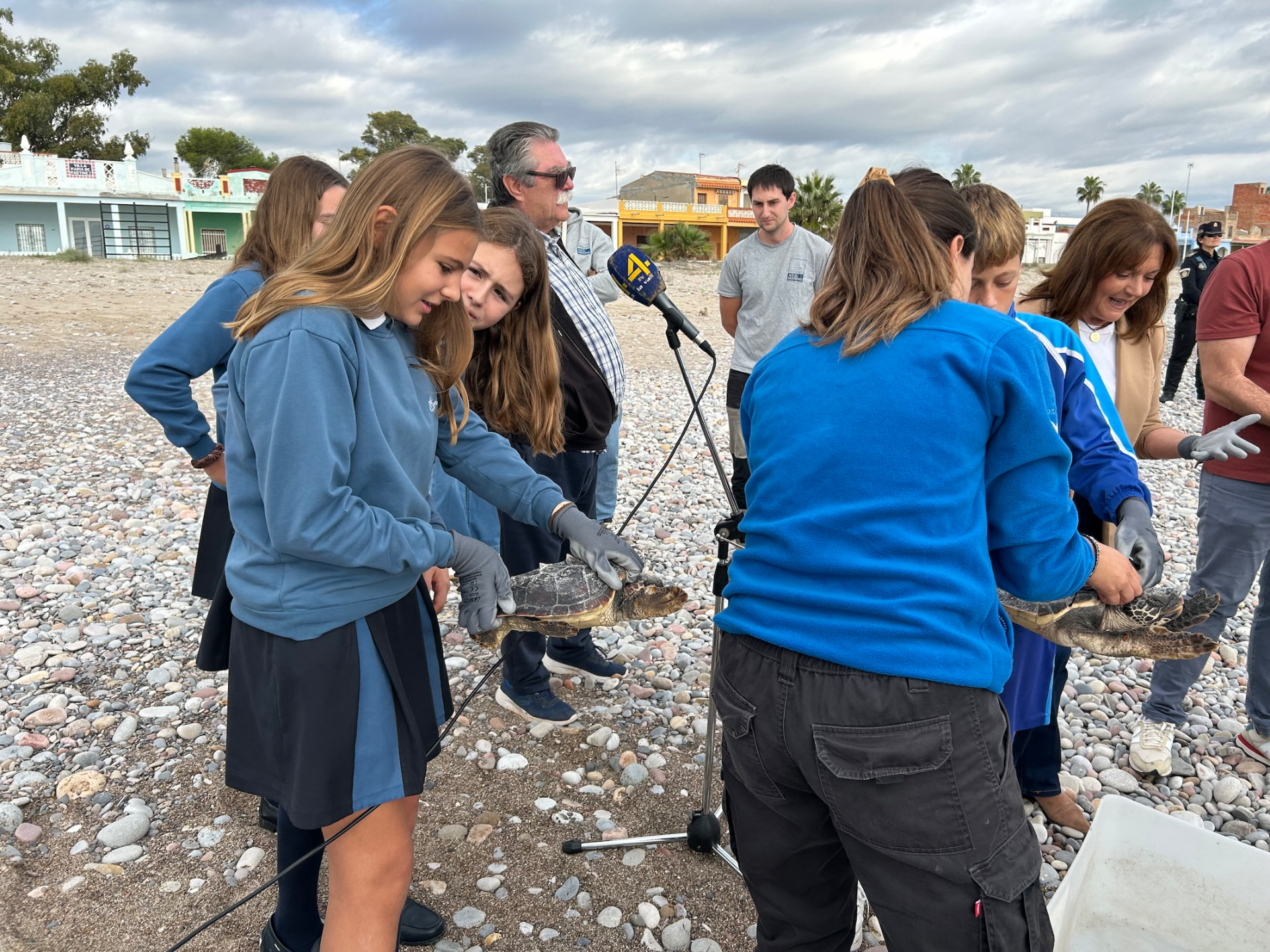 Suelta de tortugas bobas de la Fundación Azul Marino en Nules y Peñíscola — imagen 5