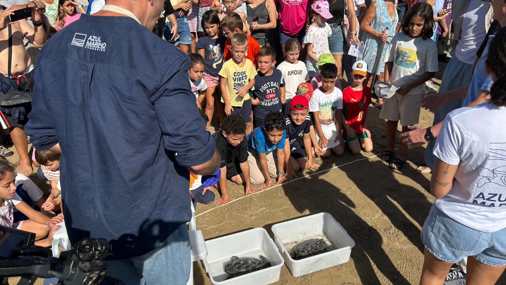Suelta de tortugas bobas de la Fundación Azul Marino en la playa del Cargador de Alcossebre — imagen 3