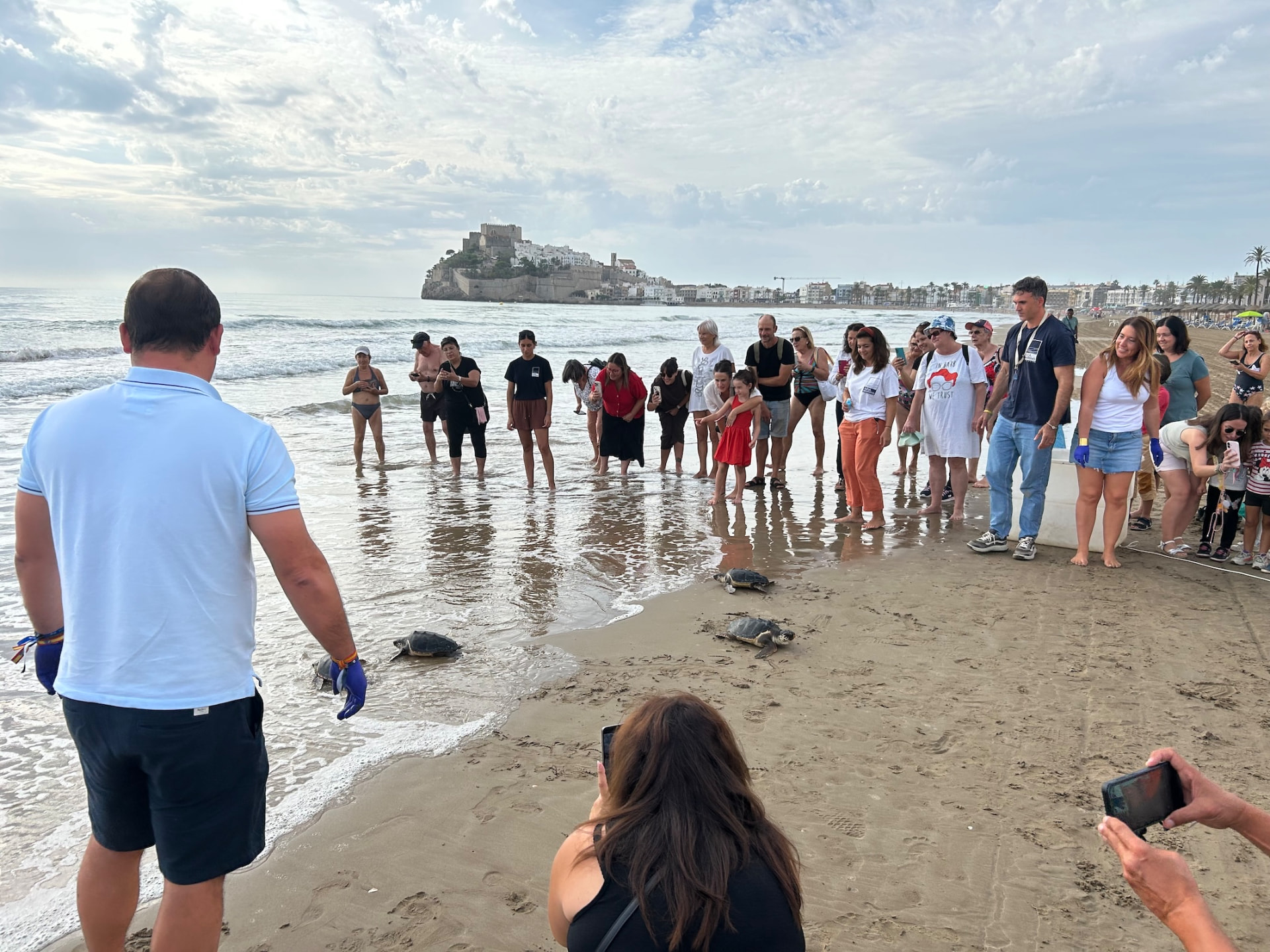 Suelta de tortugas bobas de la Fundación Azul Marino en Nules y Peñíscola — imagen 14