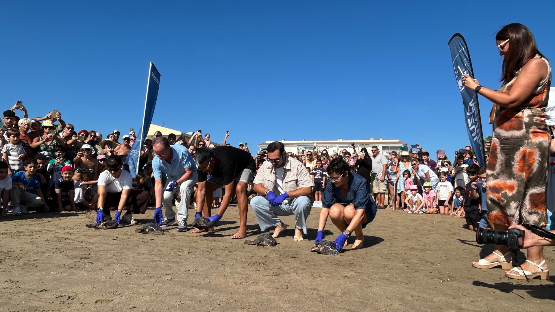 Suelta de tortugas bobas de la Fundación Azul Marino en la playa del Cargador de Alcossebre — imagen 8