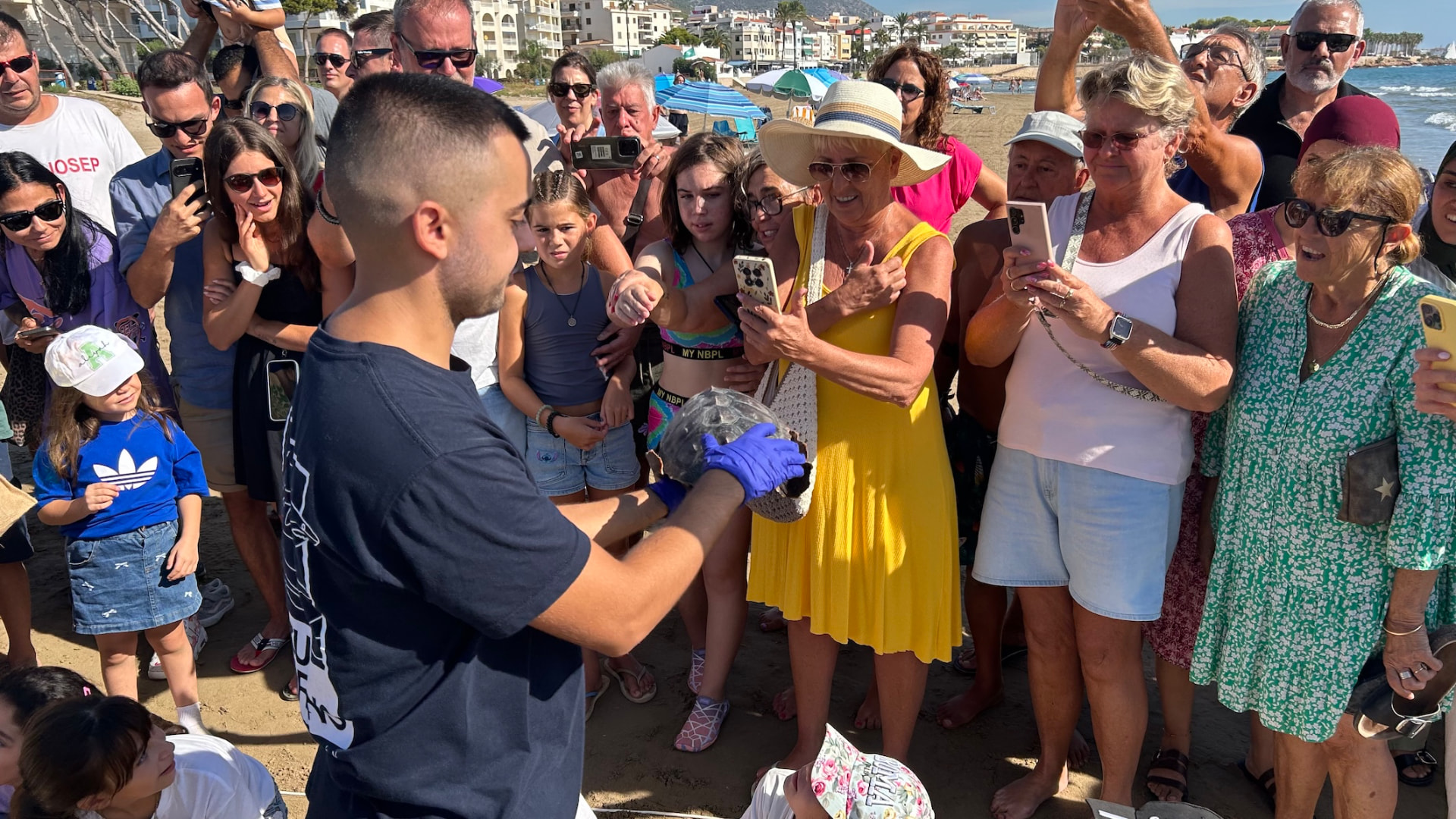 Suelta de tortugas bobas de la Fundación Azul Marino en la playa del Cargador de Alcossebre — imagen 5