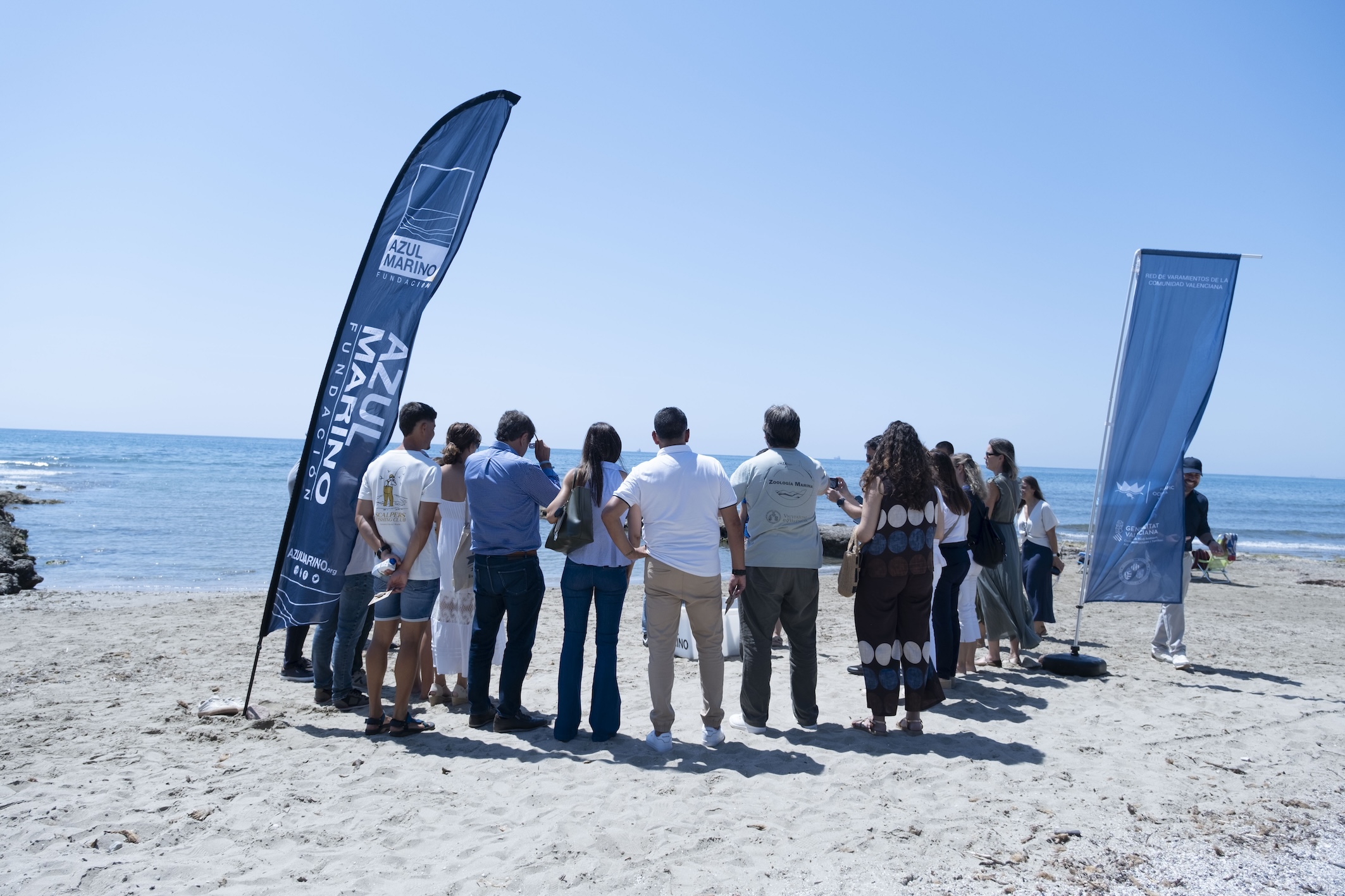 Campaña «Aquí Salvamos Tortugas», Fundación Azul Marino — imagen 8