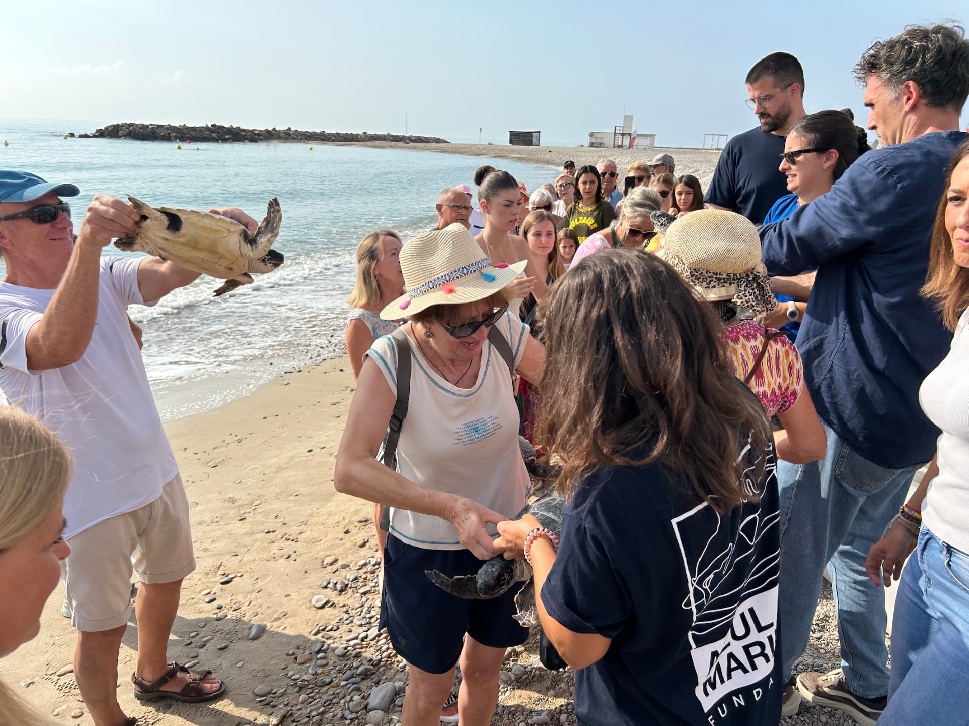 Público en la orilla observando la entrega de tortugas bobas junto al mar en la playa de Benafelí