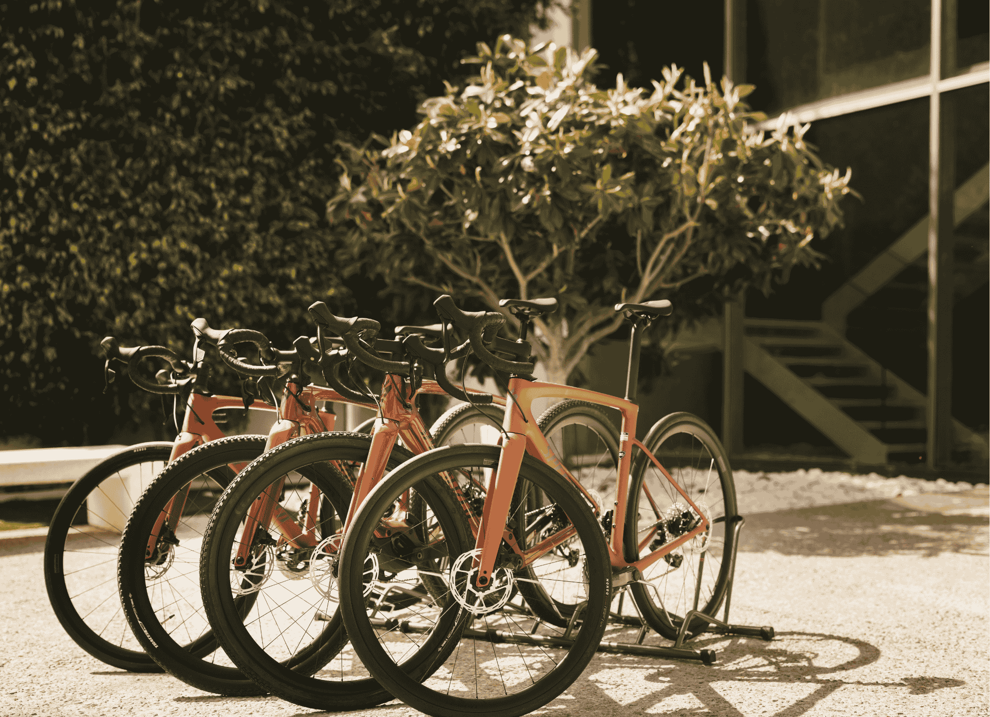 Ciclismo · Descubre sobre ruedas el entorno natural que nos rodea
