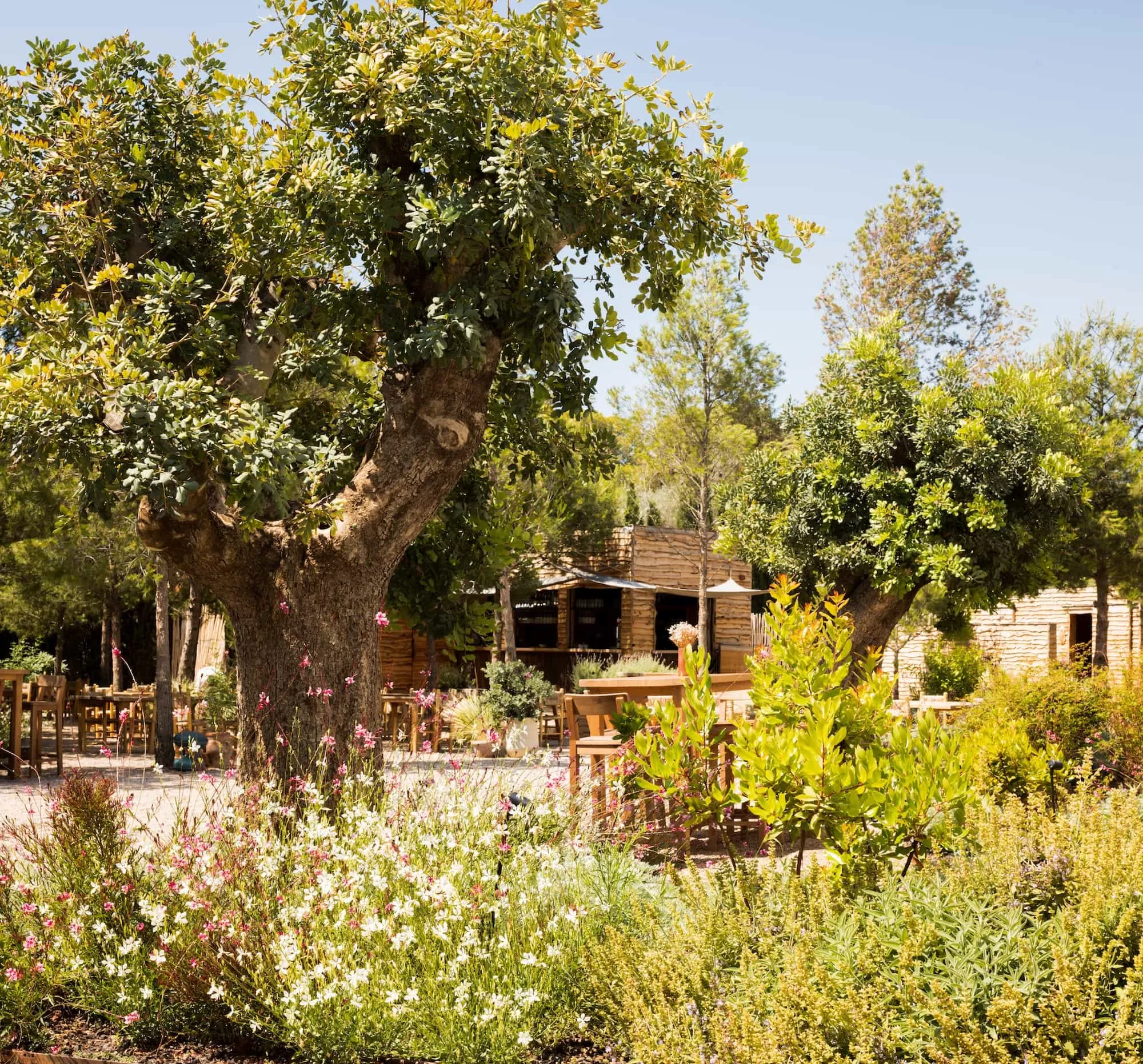 El Patio de los Olivos — Bellver Blue Tech Zone (imagen 1)