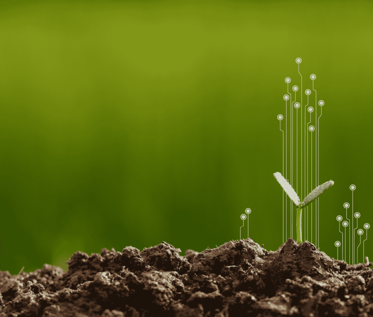 Actividades de responsabilidad social corporativa