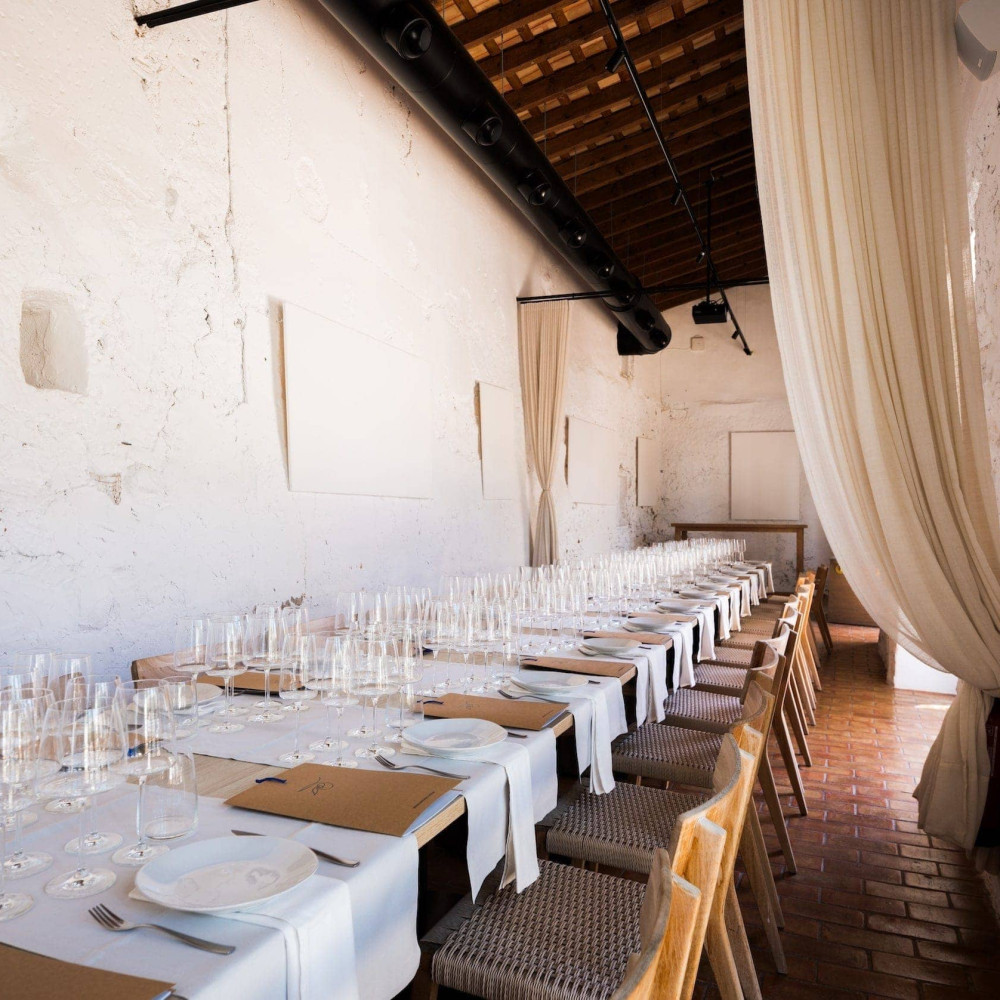 <p>Elige tu <em>mejor opción</em></p>