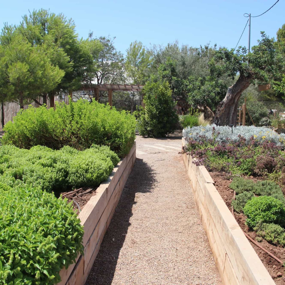 <p><em>Sostenibilidad</em></p>