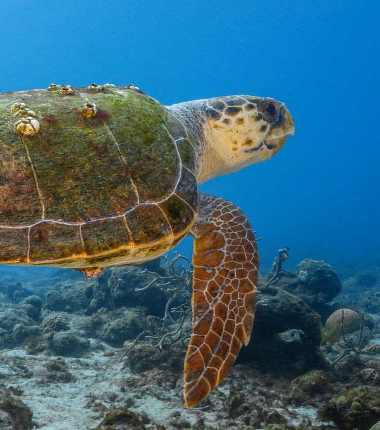 La conservación desde otro punto de vista