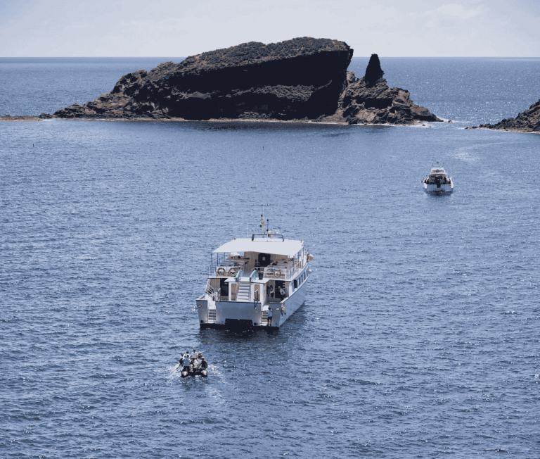 Incentive trips on the Mediterranean coast of Castellón, during a maritime activity.